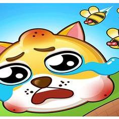 Save My Doge